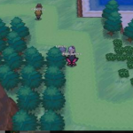 5k以上NPC点-一泽资源站