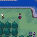 5k以上NPC点-一泽资源站