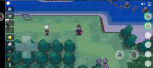 图片[2]-5k以上NPC点-Pokemmommo论坛-一泽资源站