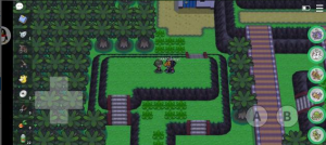 图片[40]-5k以上NPC点-Pokemmommo论坛-一泽资源站