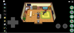 图片[44]-5k以上NPC点-Pokemmommo论坛-一泽资源站