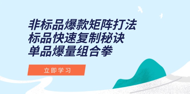 非标品爆款矩阵打法，标品快速复制秘诀，单品爆量组合拳-一泽资源站